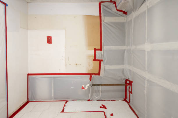 Best Residential Mold Inspection & Testing  in Seven Mile, AZ