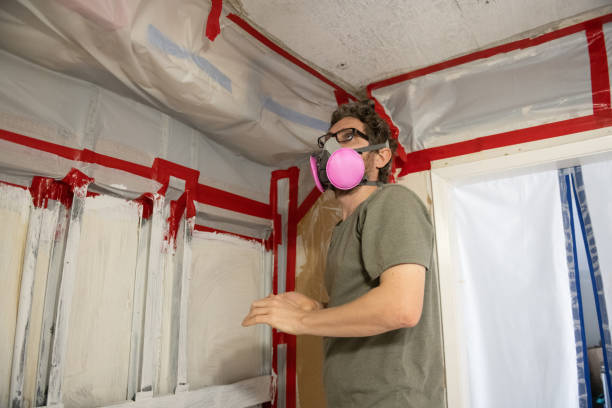 Best Crawl Space Mold Remediation  in Seven Mile, AZ