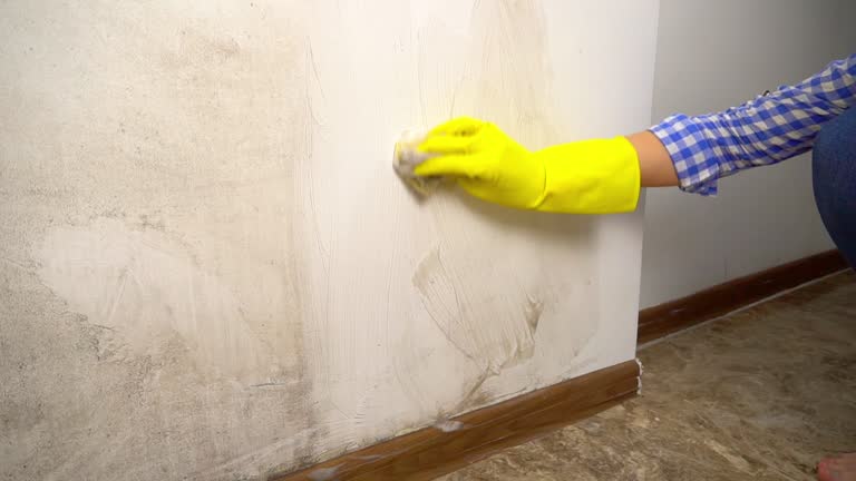 Best Real Estate Mold Inspection  in Seven Mile, AZ