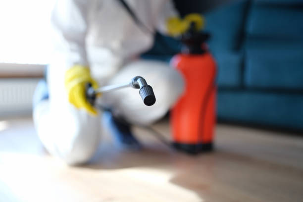 Trusted Seven Mile, AZ Mold Removal Experts