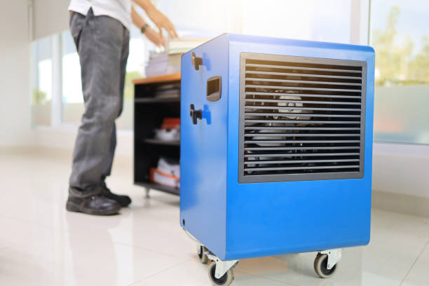 Best Forensic Mold Investigation  in Seven Mile, AZ