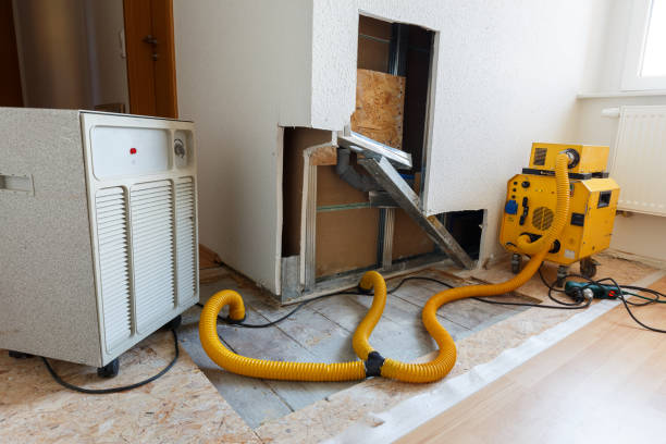 Best Emergency Mold Remediation  in Seven Mile, AZ